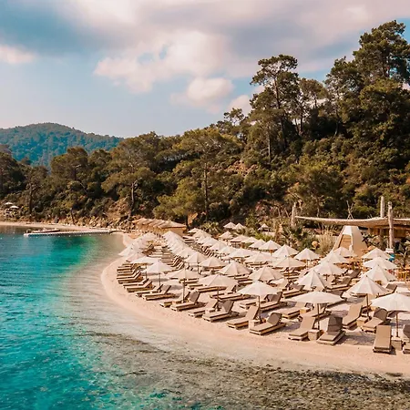 מלון דירות Gizz